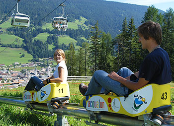 Toboggan fun in summer